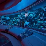 ⁦X4: Tides of Avarice DLC Cd Key Steam Global⁩ - الصورة ⁦2⁩