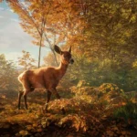 ⁦theHunter Call of the Wild - Wild Goose Chase Gear DLC Cd Key Steam Global⁩ - الصورة ⁦3⁩