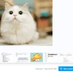 ⁦EaseUS Data Recovery Wizard for Mac Current Version License⁩ - الصورة ⁦3⁩